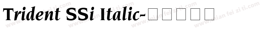 Trident SSi Italic字体转换